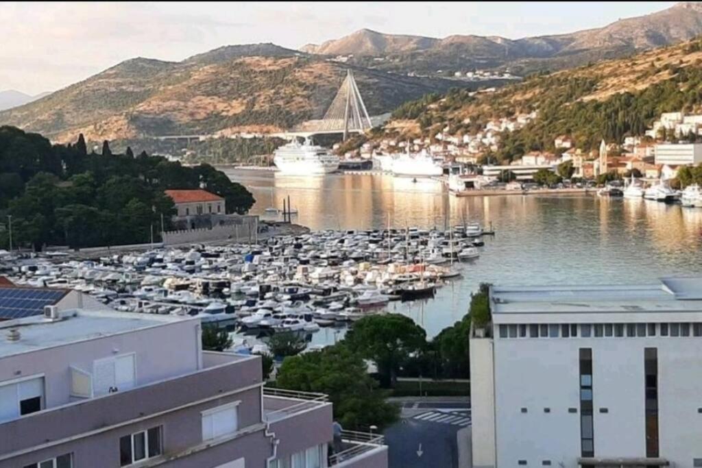 Gorgeous Dubrovnik Sea View Apartment With Free Parking 外观 照片