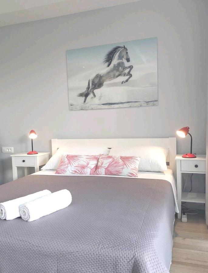 Gorgeous Dubrovnik Sea View Apartment With Free Parking 外观 照片